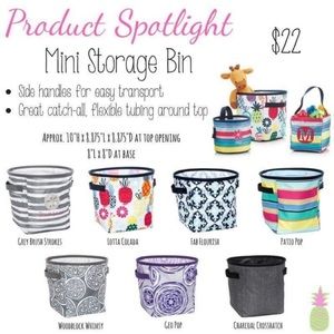 Thirty one mini storage bin